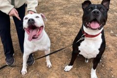 582289528_1129743279324697_4743503931539710575_n