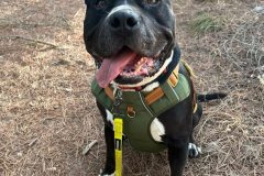 583810156_1129743212658037_2089877969883407469_n