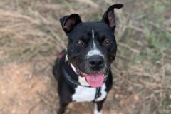 583927989_1129743249324700_5254803350220339222_n