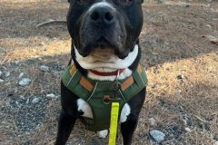 584400846_1129743289324696_7338745684960562767_n