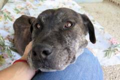 611294826_1164816222484069_4688340662330966545_n