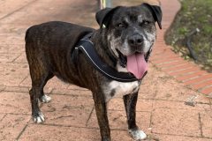 611614076_1164816799150678_4688796153447914738_n