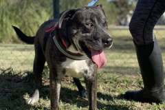 611655325_1164816815817343_5688955463551936034_n