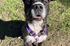 590517720_1140007151631643_8820317635533531855_n