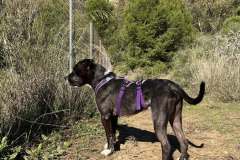 591590753_1140007134964978_2681840895557982117_n