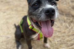 591697683_1140007188298306_8637329931003153357_n