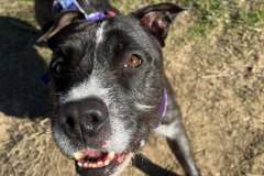 592957822_1140007194964972_4426360080377031391_n