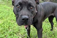 613131231_1167927445506280_3221217333189776532_n