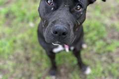 613142343_1167927435506281_7296468315031770555_n