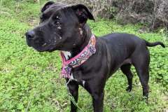 613176579_1167927482172943_6086959469938768343_n