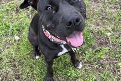 613202543_1167927515506273_8874697291799030517_n