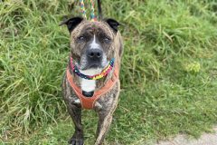 571483888_1113601564272202_32627055044812736_n