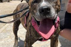 572742704_1113601074272251_6212538942636994692_n