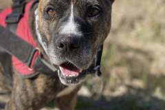 572872045_1113601580938867_2473664583084350022_n