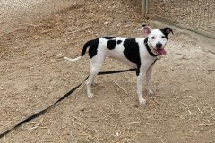 609141225_1163469082618783_5504442024844988714_n