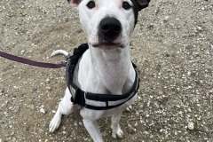 610846152_1163469099285448_7189013318007136378_n