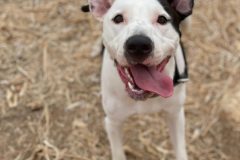 610975575_1163468992618792_1671436062277746144_n