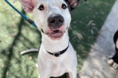 611251542_1163468982618793_5036783555362652150_n