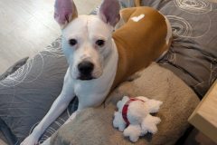 586532901_1134673922164966_2229577185571734028_n