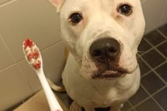 586553202_1134673998831625_7825963274542018353_n