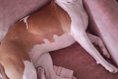 587601149_1134674018831623_3180954315761459171_n