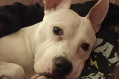 587833344_1134673975498294_6901602016842577724_n