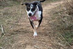 608943612_1162817659350592_9205807131164580773_n