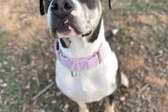 608983808_1162817596017265_7300666316568885040_n