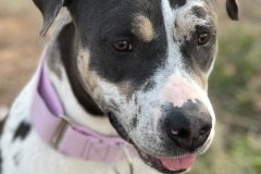 609104518_1162817602683931_6929495404747068131_n