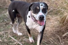 610686412_1162817632683928_2344405127980272608_n