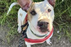 610836649_1164362189196139_896132504468848111_n