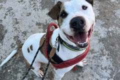 611166765_1164362255862799_5774012933975561143_n