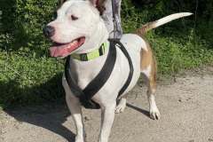 611417565_1164362249196133_6728904067932700059_n