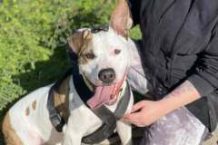 611809351_1164362222529469_7673428468969475358_n