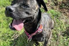 592300249_1141181174847574_5697121236726355893_n