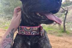 592526543_1141181104847581_1918003443398871381_n