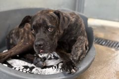 592631171_1141181208180904_6852459972736155877_n