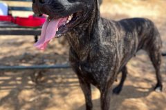 593544054_1141181158180909_7899651475885107639_n