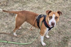 612270039_1167272908905067_5514051659075699710_n