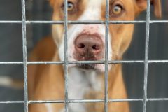 613340824_1167272892238402_5994154297979109656_n