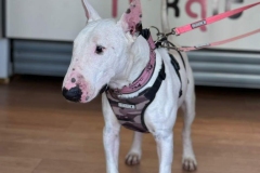 449153675_769887055310323_1613356677542328260_n