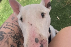 449154137_769887065310322_2557101012994246304_n