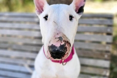 449162513_769887028643659_8845930005736118410_n