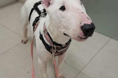 449283958_769887031976992_78856027114870983_n